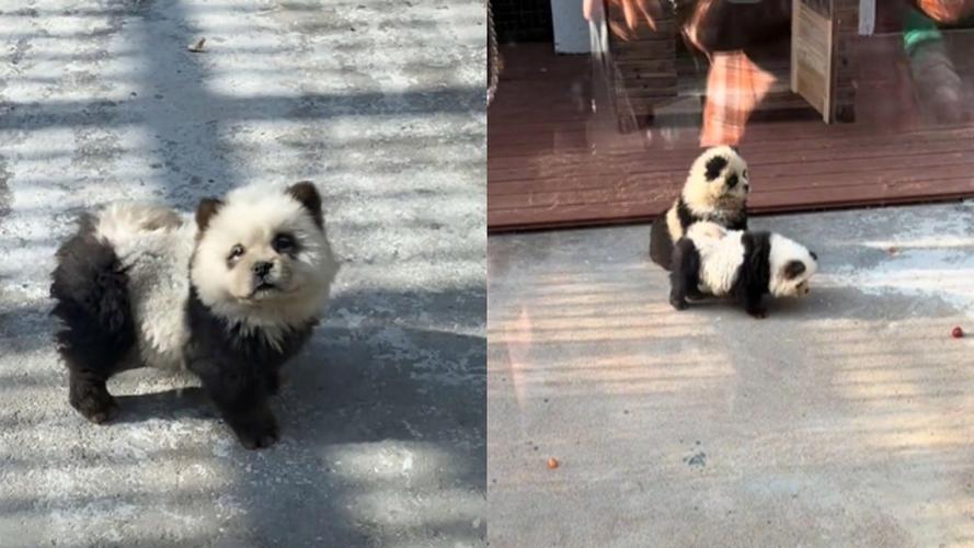 香港澳门 第10页