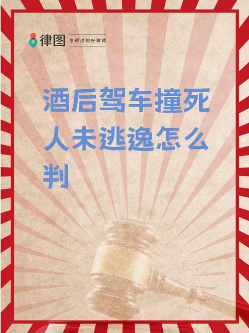 干部驾车致男童死亡,干部开车撞人怎么处理